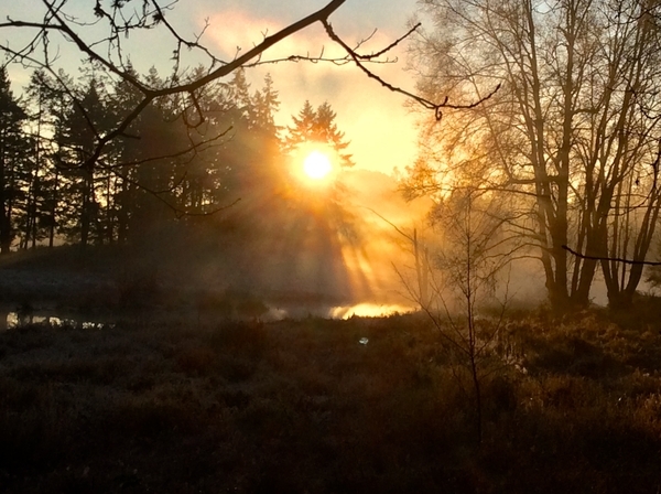 Winter Morning