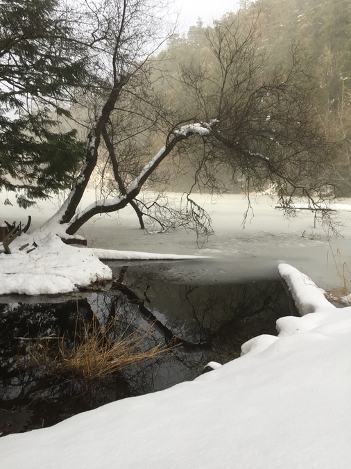 winter Swimming Hole