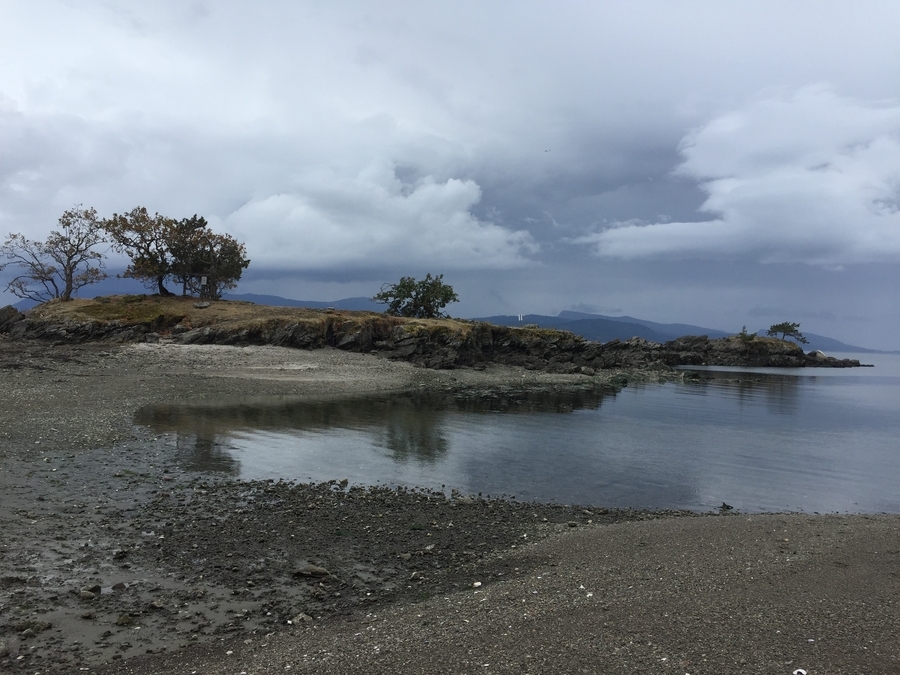 Shingle Bay