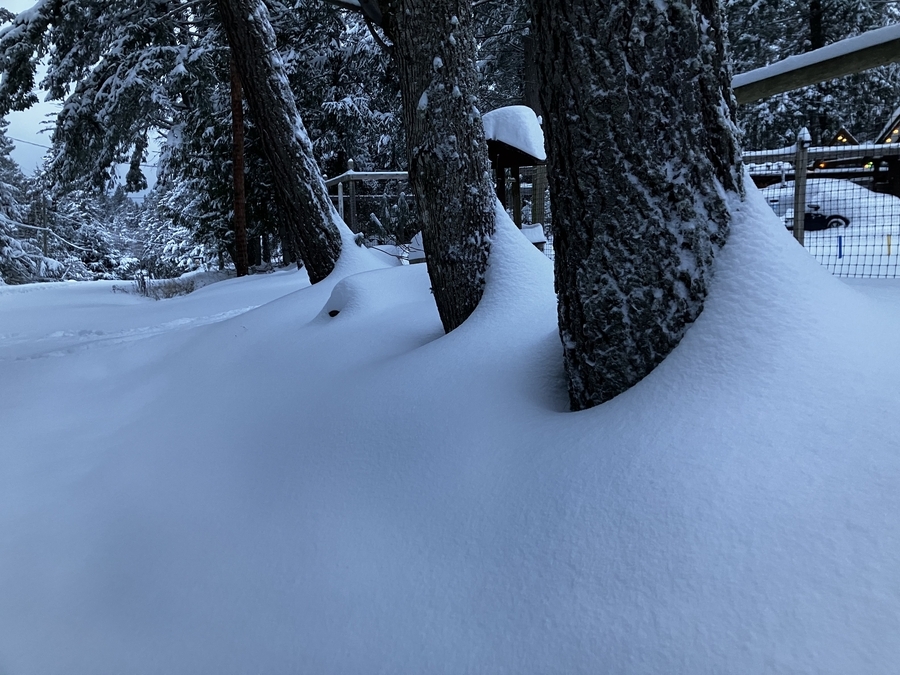 Snow shapes