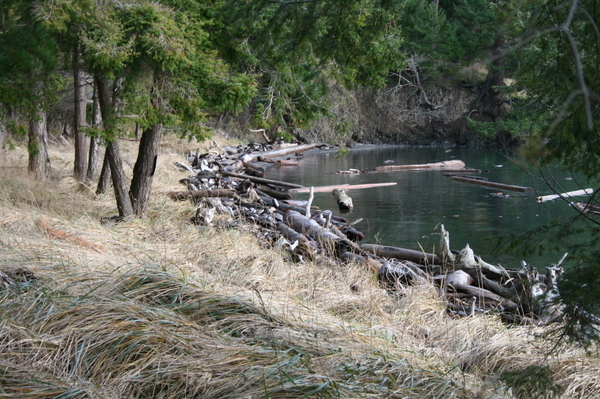 Beaumont Marine Park