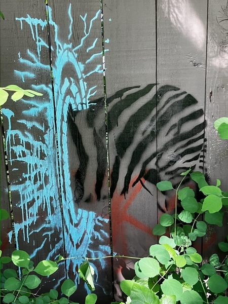 Zebra Entering Another Dimentsion