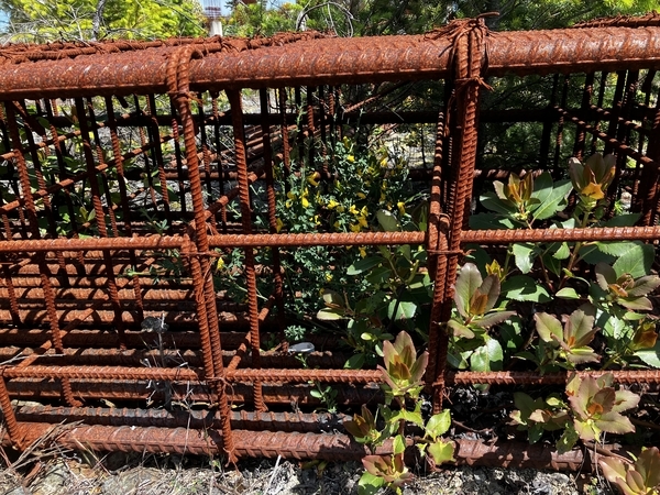 Rebar Cage