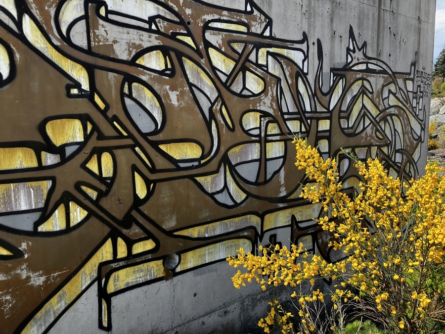 Interwoven (detail)