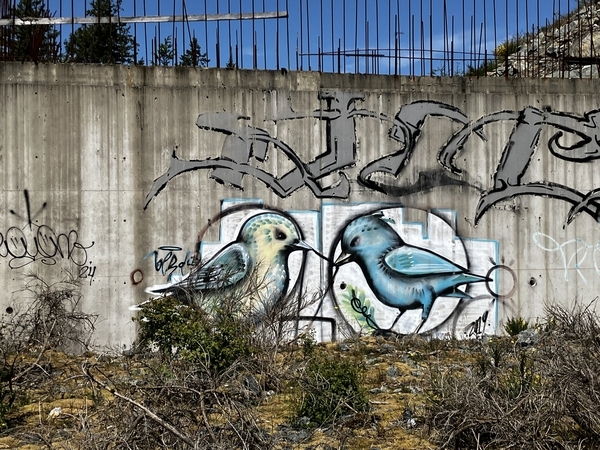 Two Birds