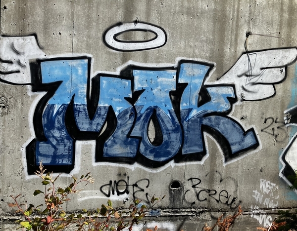 Mok
