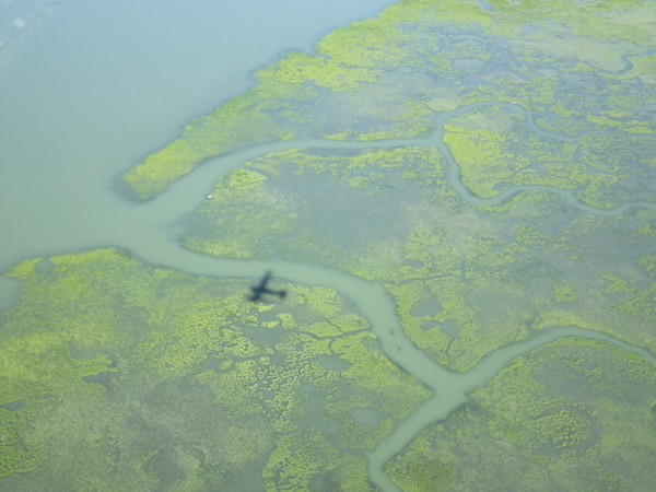 Fraser River Delta