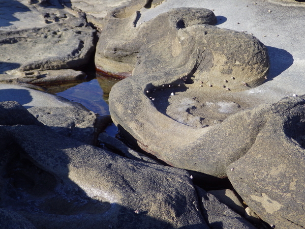 Rock Monster - Portland Island, British Columbia