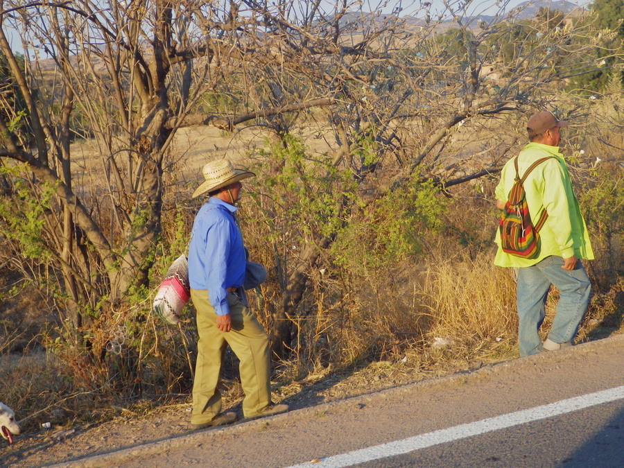 Trabajo sin reposo