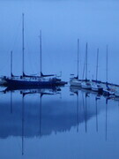 Cowichan Bay Fog
