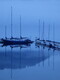 Cowichan Bay Fog