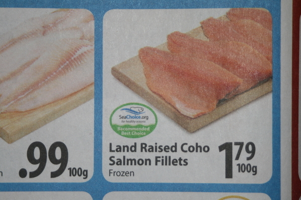 Land raised salmon