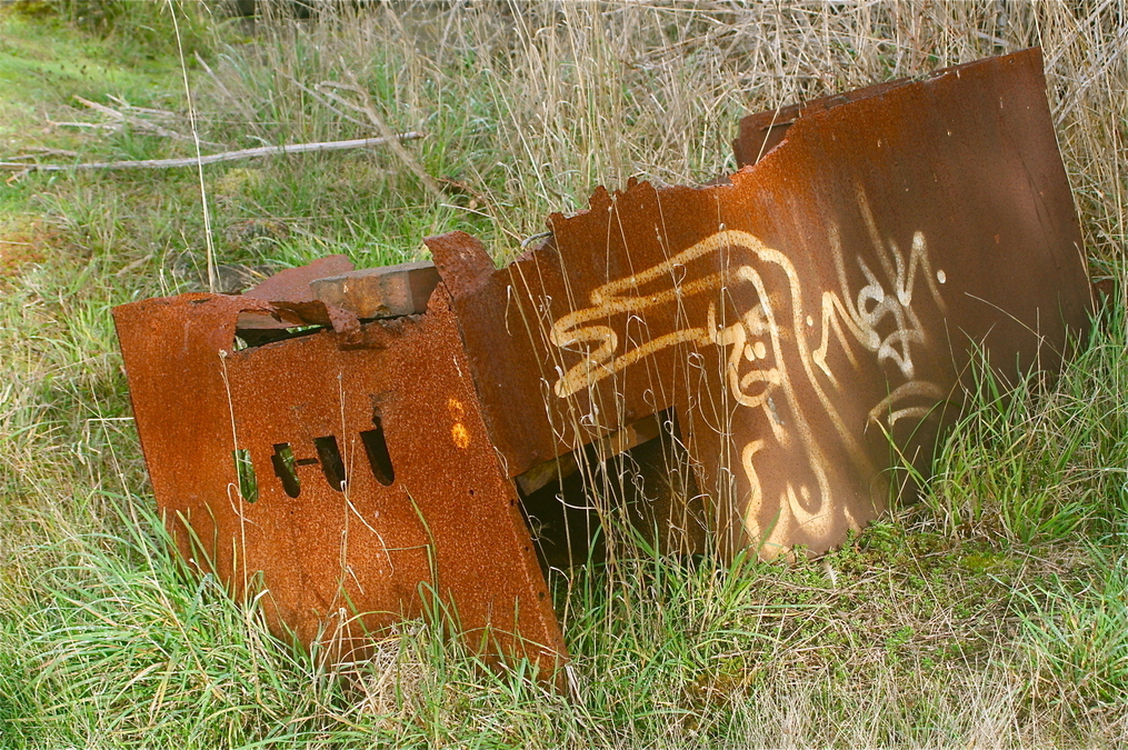 Nude on Rust